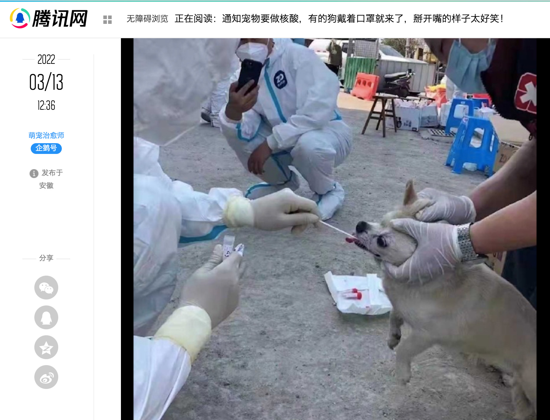 shanghai lockdown dog PCR 上海 ロックダウン 犬 核酸 封鎖 隔離